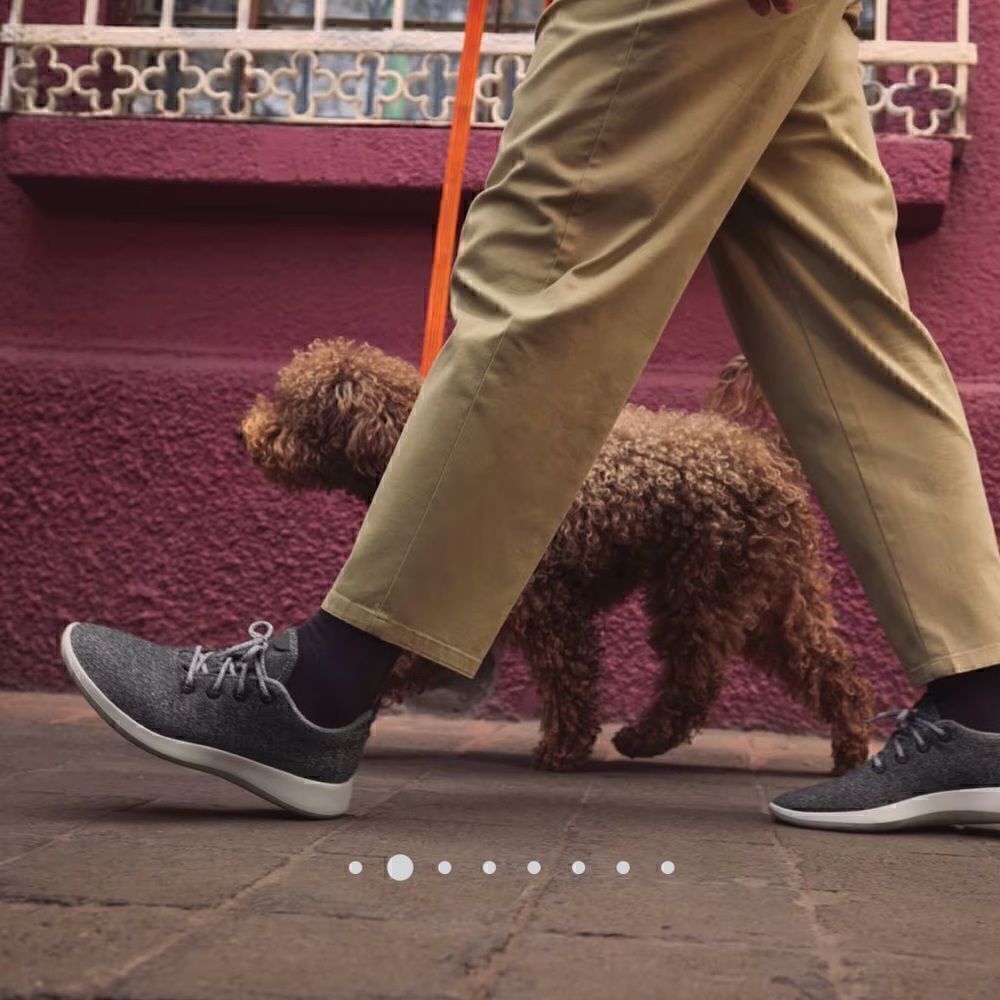 Allbirds wool runner sneakers